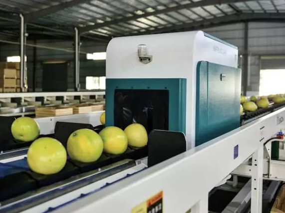 綠萌是柚子分選設備國家高新技術企業，可進行重量、大小、顏色、瑕疵外觀視覺分選，無損檢測糖度，甜度，酸度、空心、浮皮、褐變、果肉損傷、霉心病等內部指標，提供智能全自動蜜柚分選機,蜜柚分選設備,蜜柚選果機,蜜柚選果設備,蜜柚分級機,沙田柚分揀機,柚子大小稱重分選方案和價格