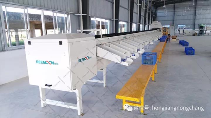 1595216957301538.jpg 微信圖片_20200720114807.jpg