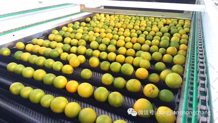 1595216975131113.jpg 微信圖片_20200720114831.jpg