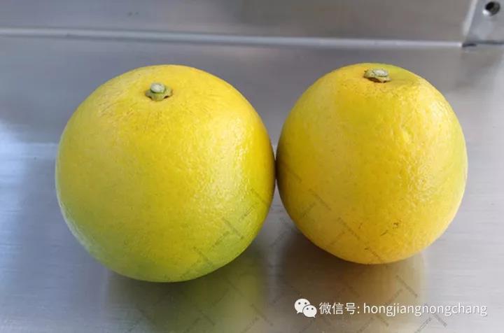 1595216980103024.jpg 微信圖片_20200720114834.jpg