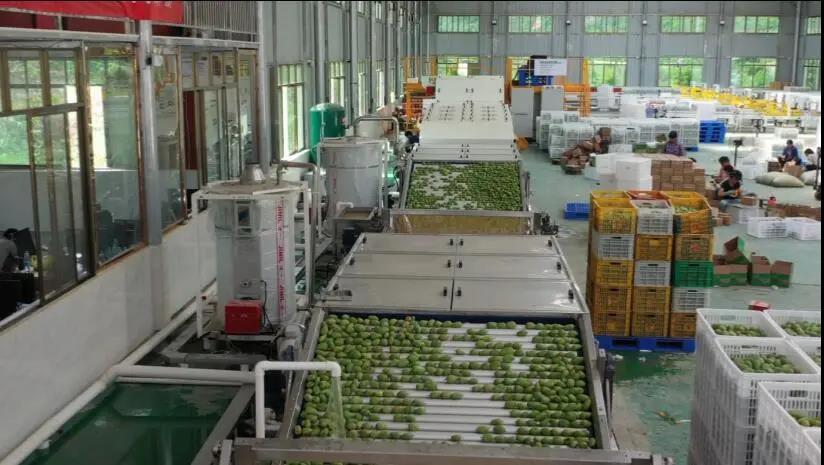 1595225757133457.jpg 微信圖片_20200720141538.jpg