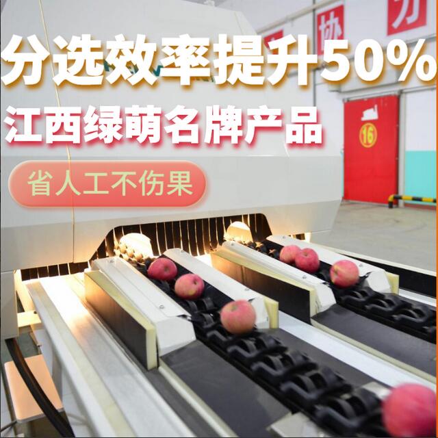 綠萌是水果智能分選設(shè)備國家高新技術(shù)企業(yè),對(duì)水果采后處理提供全套解決方案。綠萌水果分選機(jī)可進(jìn)行大小重量分級(jí)、外觀顏色分選、內(nèi)部品質(zhì)糖度檢測。提供全自動(dòng)水果分選設(shè)備,水果選果機(jī),智能水果分選機(jī),全自動(dòng)水果分選機(jī),水果分級(jí)機(jī),小型水果分選機(jī)，水果分級(jí)機(jī),水果稱重分選機(jī),水果重量分選機(jī),水果大小分選機(jī),水果顏色分選機(jī),水果糖度分選機(jī),配套水果清洗機(jī)、水果洗果保鮮機(jī)、水果包裝機(jī)、水果消毒滅菌殺菌機(jī),水果打蠟機(jī)。更多水果分選方案報(bào)價(jià),小型水果選果設(shè)備價(jià)格、水果分級(jí)機(jī)怎么樣、口碑好質(zhì)量好的水果選果機(jī)、了解高性能水果分選機(jī)多少錢,咨詢客服免費(fèi)獲取