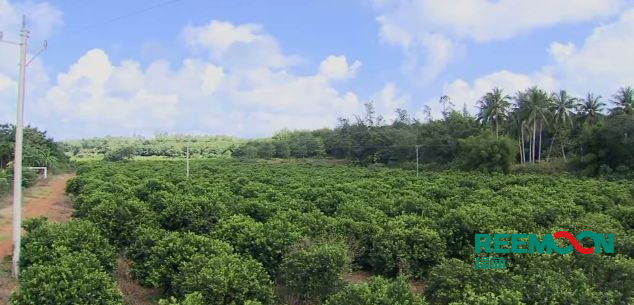 1600854420281476.png 微信圖片_20200923174702.png