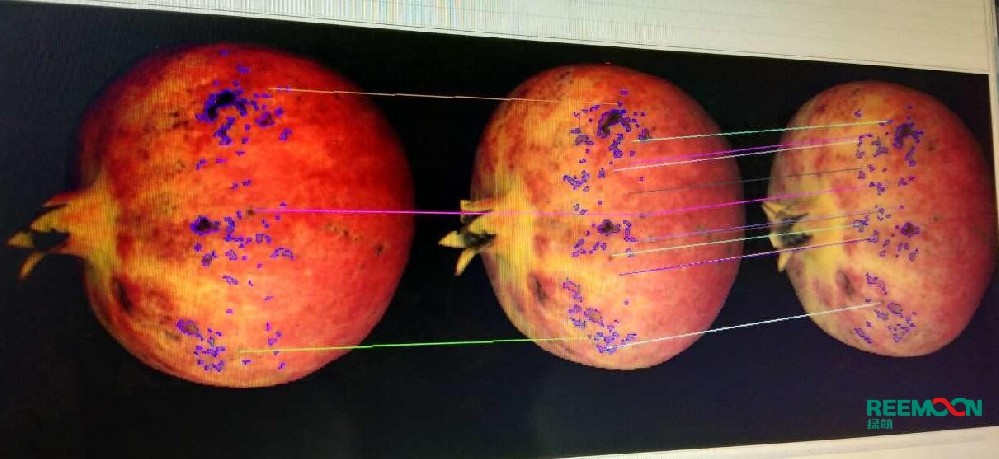 綠萌是石榴智能分選設(shè)備國(guó)家高新技術(shù)企業(yè),對(duì)軟籽石榴采后處理提供全套解決方案。綠萌石榴分選機(jī)可進(jìn)行大小重量分級(jí)、外觀顏色分選。提供全自動(dòng)石榴分選設(shè)備,石榴選果機(jī),智能石榴分選機(jī),全自動(dòng)石榴分選機(jī),石榴分級(jí)機(jī),小型石榴分選機(jī)，石榴稱重分選機(jī),石榴重量分選機(jī),石榴大小分選機(jī),石榴顏色分選機(jī),更多石榴分選方案報(bào)價(jià),小型石榴選果設(shè)備價(jià)格、石榴分級(jí)機(jī)怎么樣、口碑好質(zhì)量好的石榴選果機(jī)、了解高性能石榴分選機(jī)多少錢(qián),咨詢客服免費(fèi)獲取