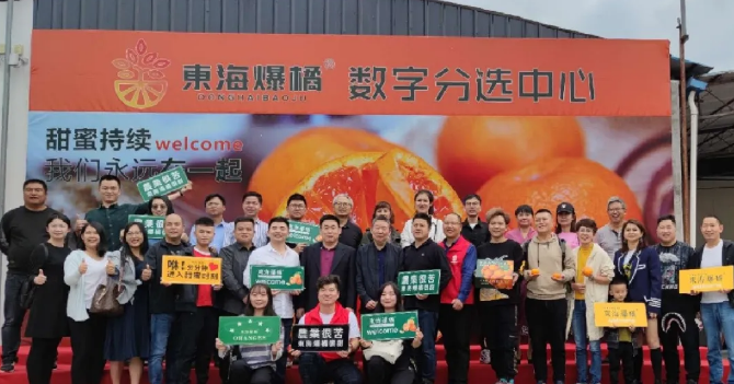 東海爆橘建立綠萌數字分選中心一陣果汁，細膩無渣，這橘子臉皮很薄，脾氣“爆”！每年秋冬季節，市場上各種各樣的橘子層出不窮，有些是黃澄澄的，有些是紅色的，讓人一看就喜歡，每年都買回來。貪心的時候找到一個，手里冰涼。我迫不及待地把它剝下來，迅速放進嘴里。那一刻橙汁從我的喉嚨滑落，整個秋冬的干燥被