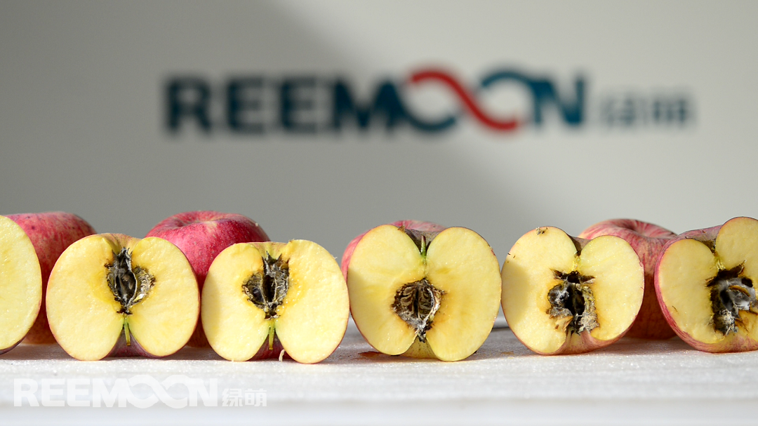 1614328647137612.png 綠萌蘋(píng)果霉心檢測(cè)技術(shù).png