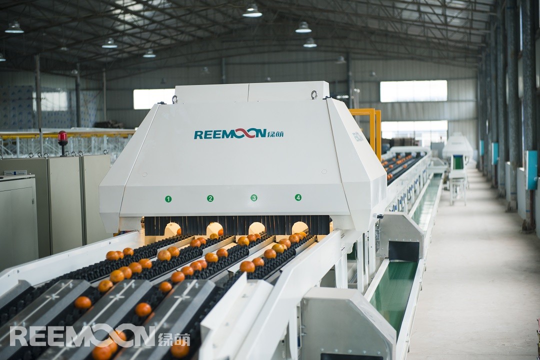 1618965838965333.jpg 1.jpg