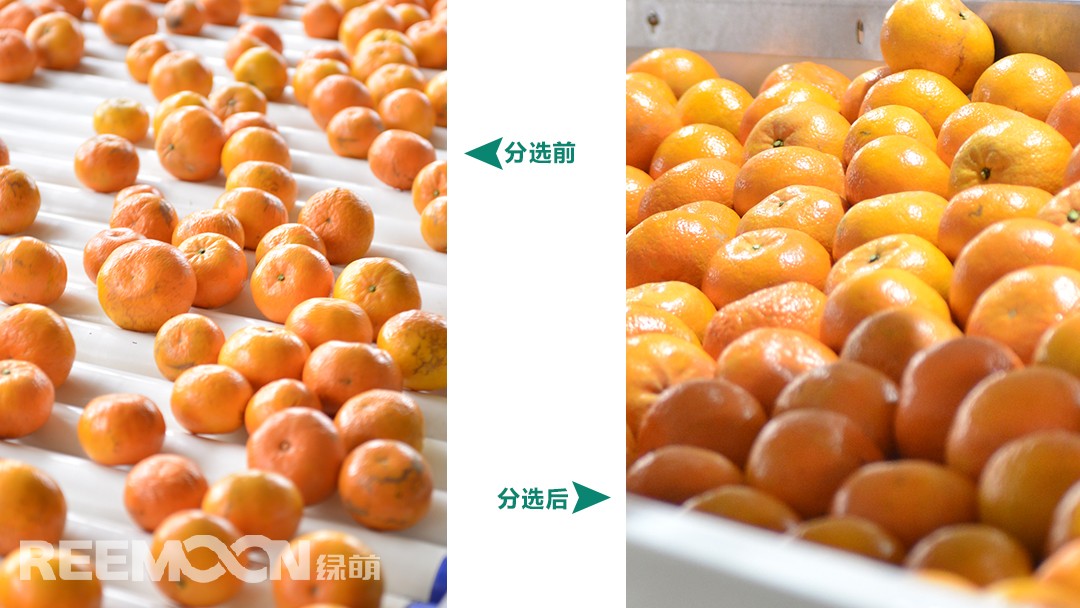 1618965850331869.jpg 微信圖片_20210420092849.jpg