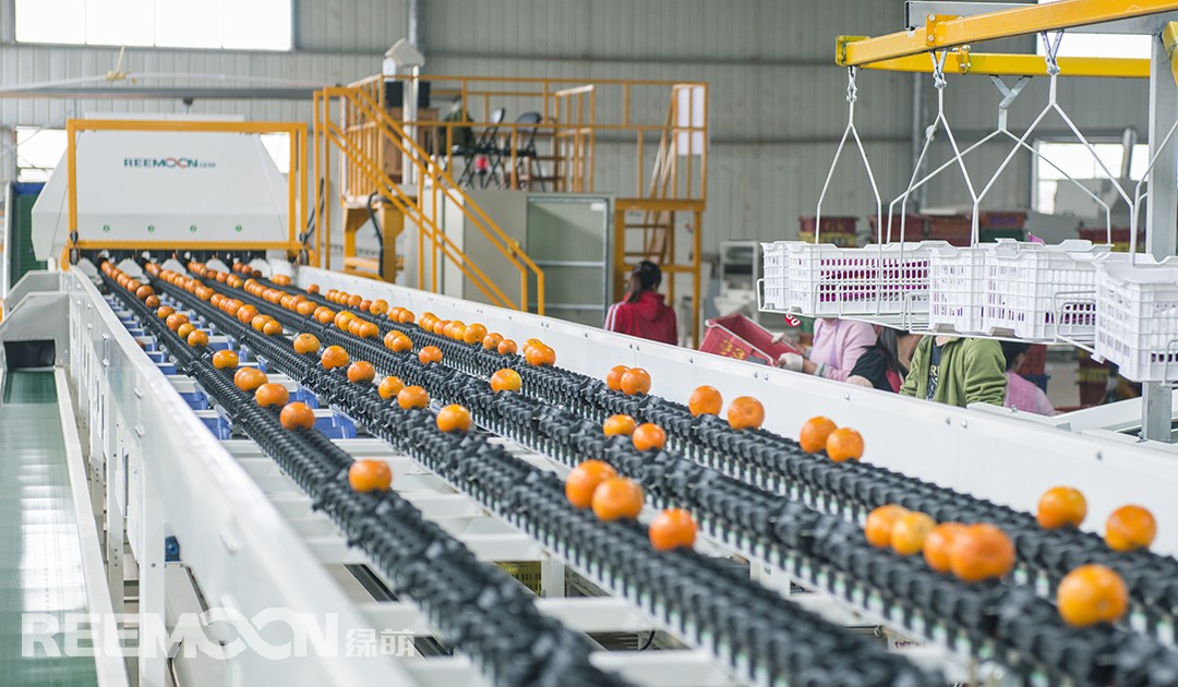 1618965859964020.jpg 5.jpg