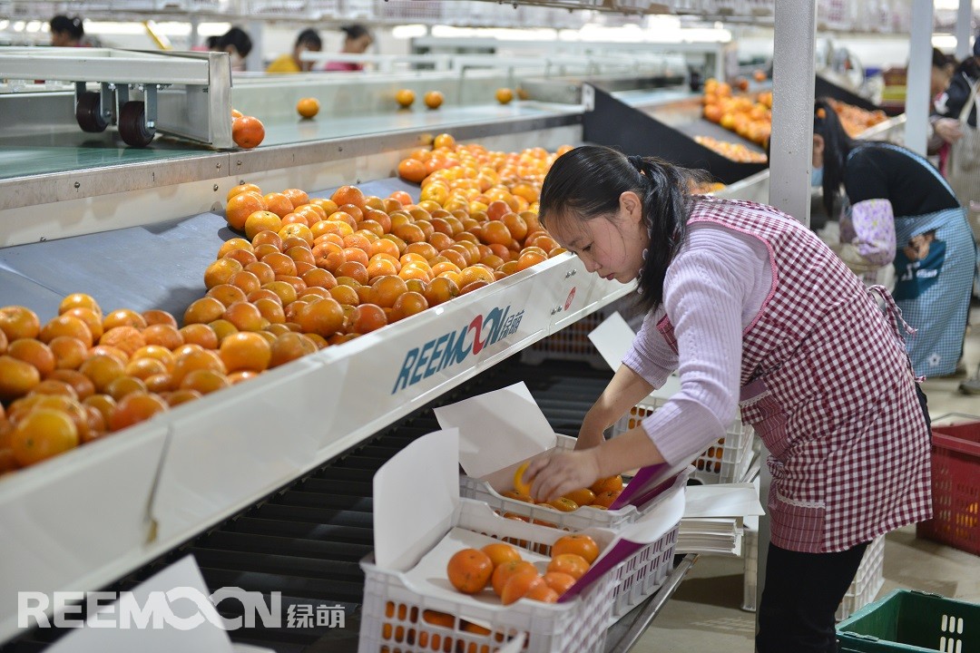 1618965877182972.jpg 2.jpg