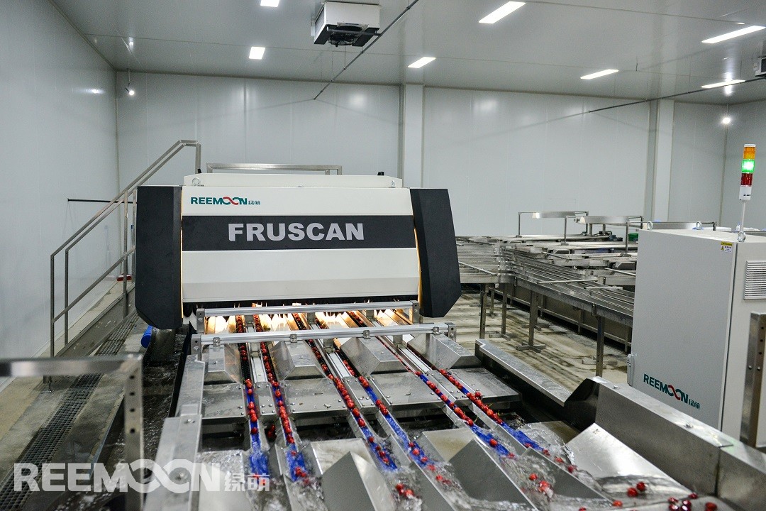 1619171461120104.jpg 視覺檢測.jpg