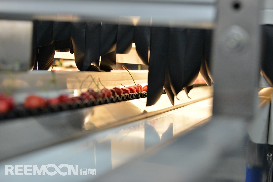 1619778539656825.jpg 視覺檢測2.JPG