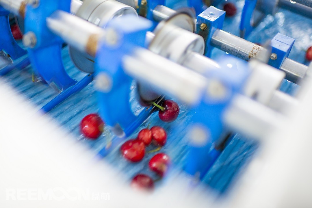 1619778547159801.jpg 果梗分離2.jpg