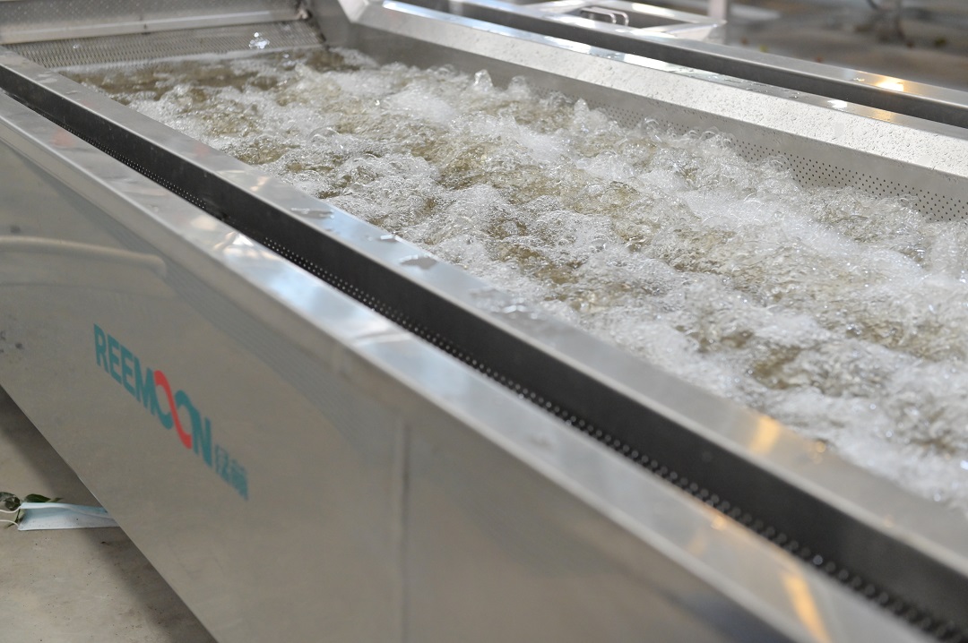 1621504121108116.jpg 清洗預冷.JPG