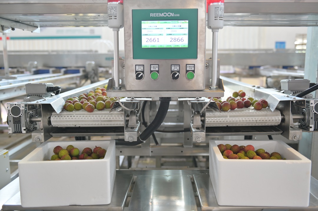 1621504150130669.jpg 出口包裝.JPG