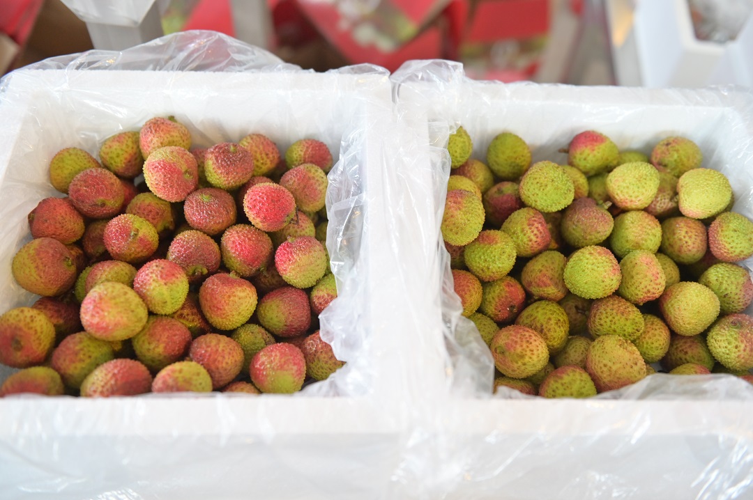 1621504159156605.jpg 荔枝對比.jpg