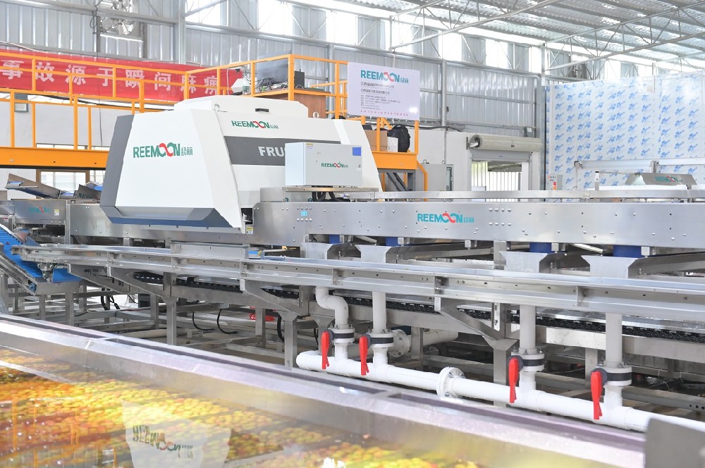 以“‘荔’促產(chǎn)業(yè)興，助‘荔’新發(fā)展”為主題的荔枝產(chǎn)業(yè)大會在茂名成功舉辦。共同探討廣東荔枝高品質發(fā)展。標準化生產(chǎn)是實現(xiàn)品質提升的具體手段。推動荔枝標準化生產(chǎn)，不僅從全產(chǎn)業(yè)鏈提升農(nóng)產(chǎn)品質量，還將全面提升荔枝價值鏈。為了進一步推動荔枝標準化生產(chǎn)，茂名市發(fā)布了《茂名市網(wǎng)上銷售荔枝等級規(guī)格》，主要對茂