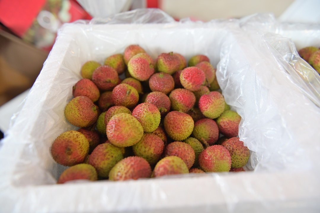 1621854497131370.jpg 荔枝2.jpg