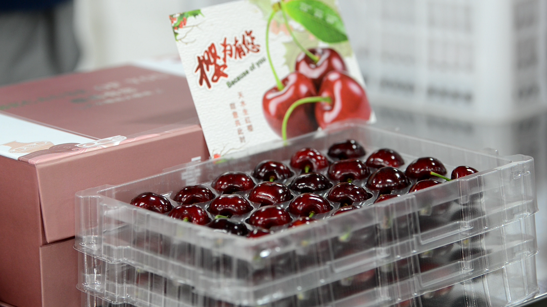 1622120295131304.png 櫻桃標準化包裝3.png