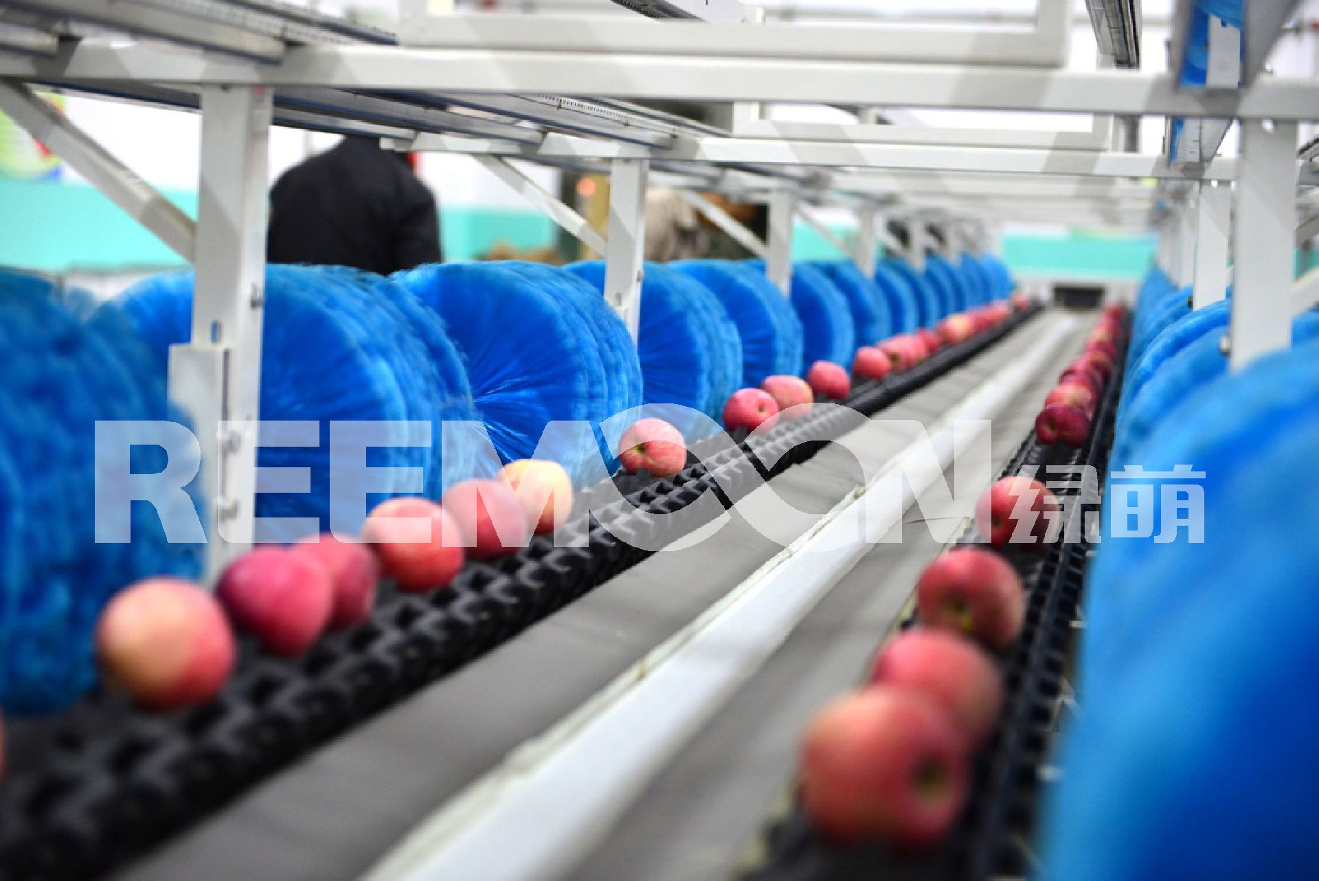 1622861420178335.jpg 1.jpg