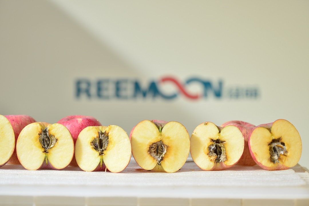 1622861464834673.jpg 綠萌內(nèi)部品質(zhì)檢測(cè)蘋果霉心.JPG