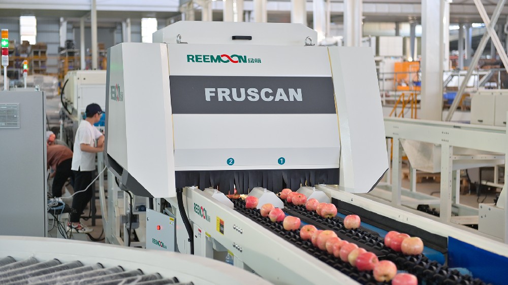 青怡蘋果從創(chuàng)立初，致力于高端品牌營運，重視品控。是OLE、BLT、麥德龍、步步高、天天果園等商超的戰(zhàn)略合作伙伴。據(jù)統(tǒng)計，蘋果庫存偏高，價格走勢持續(xù)走低，無論蘋果市場如何動蕩，青怡蘋果的銷售從未有過絲毫的遲緩，甚至品牌聲望還在逐年累積。青怡蘋果能抓住優(yōu)質市場紅利，在蘋果行情起伏的市場行情下，是什么支