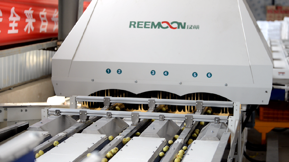 西安小船網絡科技有限公司（以下簡稱小船）是2013年成立的綜合性農業產業鏈企業。與旗下全資公司大荔縣設施冬棗農民專業合作社以及陜西天禾農業開發有限公司形成高效聯動的農業企業。目前，小船旗下的冬棗種植面積1700畝，年產銷冬棗達1800噸，與國內知名水果產區大荔冬棗產區建立了深度戰略合作關系，建立了基地直采