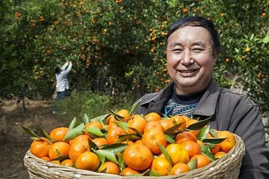 1623929365140832.jpg 4.jpg