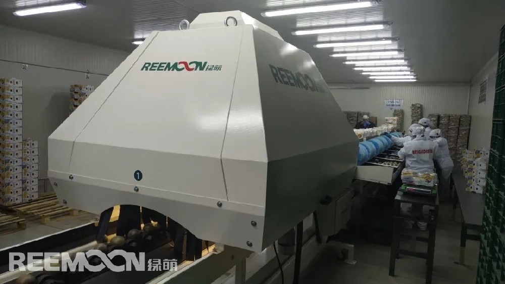 近日，江西綠萌科技控股有限公司在哥倫比亞的第一條自動分選線正式投入運營。綠萌南美區張經理接受了全球果蔬網的采訪。張經理首先對這條分選線做了介紹。“這是一條單通道、高性能的分選設備。可以實現對百香果及牛油果的分選。分選線具有重量分級、大小分級、形狀分級、顏色分級四種功能。根據客戶需求，各功能可以單獨使