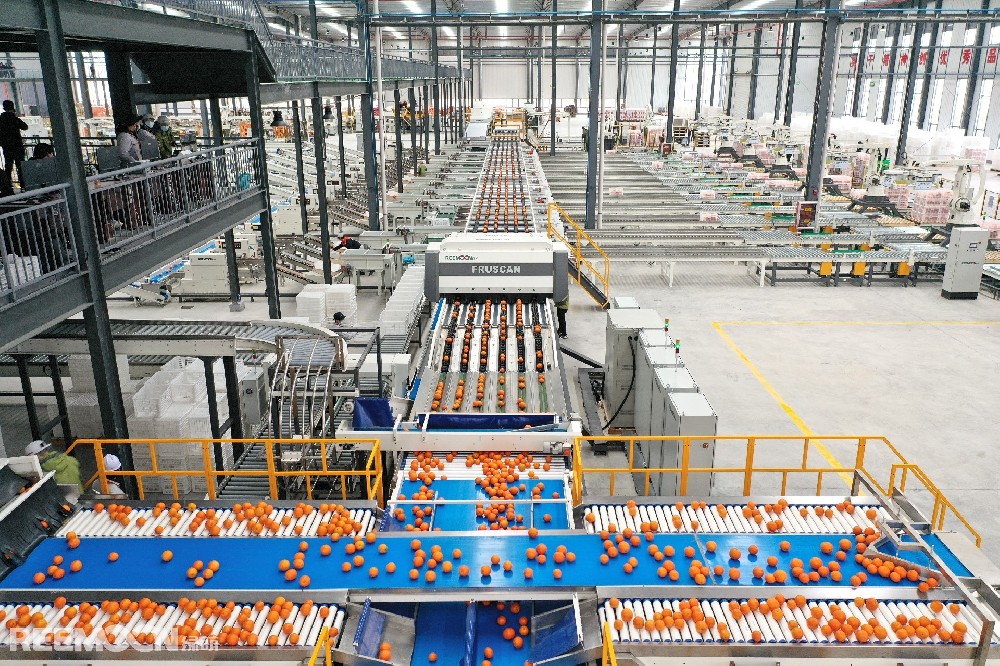 水果從生產(chǎn)到銷售，需經(jīng)歷品種選擇、果園管理、商品化處理、運輸和銷售等多個環(huán)節(jié)，整個鏈條的每一個環(huán)節(jié)都伴隨著相應的標準，但從目前的產(chǎn)業(yè)現(xiàn)狀來看，在國內(nèi)還鮮有能做到整個產(chǎn)業(yè)鏈標準化的品牌，這也嚴重制約了我國水果的品牌化進程。 在商品化處理的環(huán)節(jié)，采后分選無疑占有非常重要的地位，通過采后分選設(shè)備可以實現(xiàn)水果