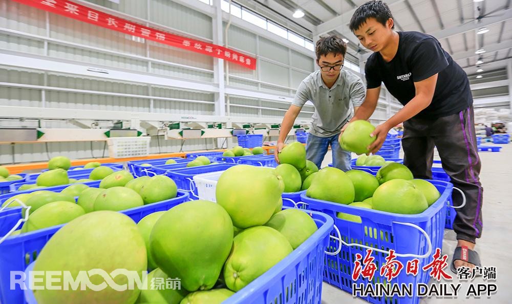 1629082293165562.jpg 5.jpg