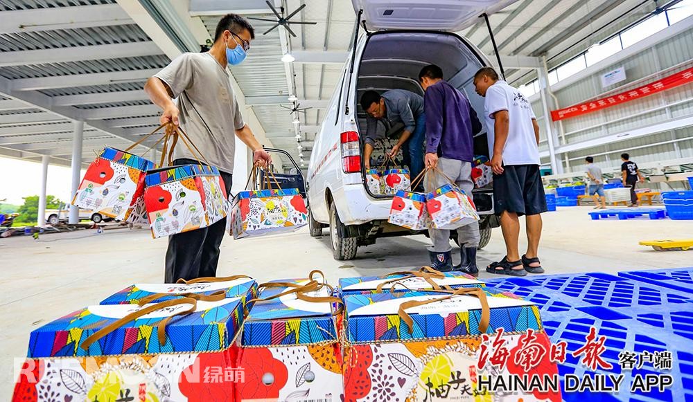 1629082442197856.jpg 7.jpg