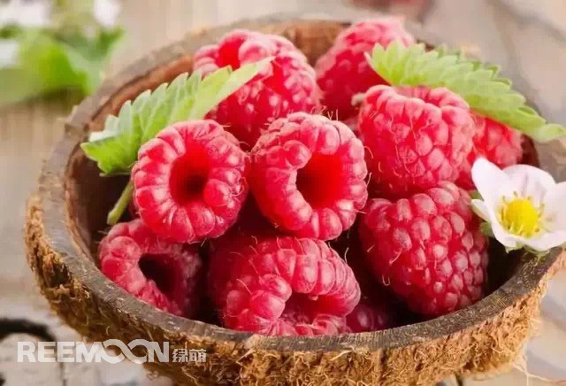 1629803142823850.jpg 33.JPG