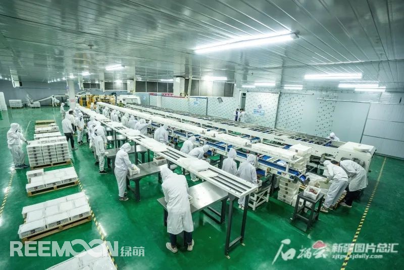 1630488834402328.jpg 2.jpg