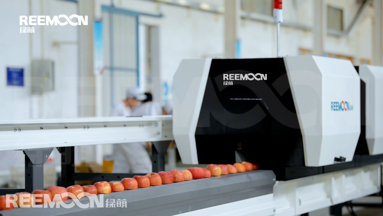 1631611673108513.png 滾筒上料機.png