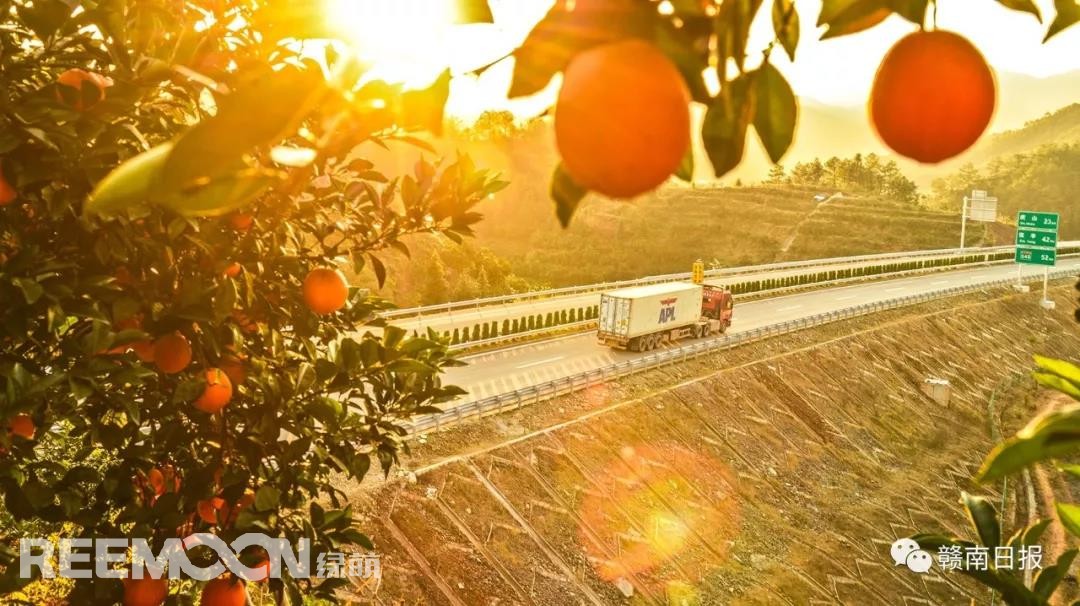 1634262994196742.jpg 8.jpg