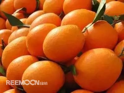 1634263200935634.jpg 10.jpg