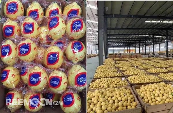 1636593969341523.jpg 3.jpg