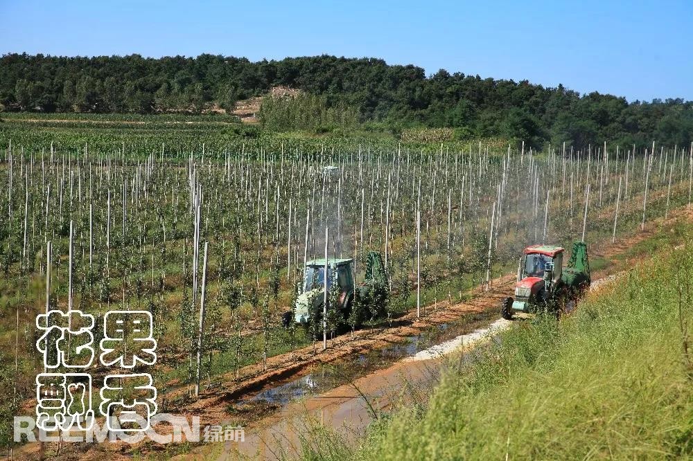 1638515739202232.jpg 全程機械化的種植模式.jpg