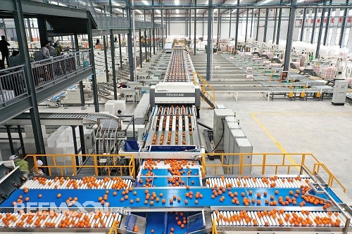 我國雖然是水果生產和消費大國，但水果產業在過去并沒有被重視，許多水果從業人員對此應該是深有體會，包括知名水果品牌百果園董事長余惠勇也曾在演講中感慨，水果產業的重要性在中國沒有得到應有的重視。隨著社會經濟的發展，如今水果產業在國民經濟中已經占據越來越高的地位。如今再來看水果產業，又會有新一番的感受，尤