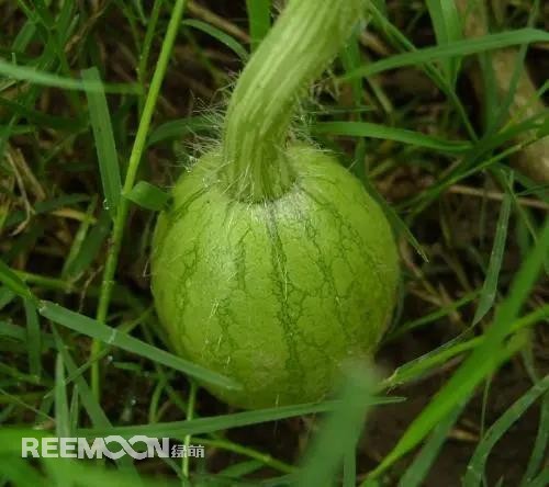 1639099178860444.jpg 5.jpg