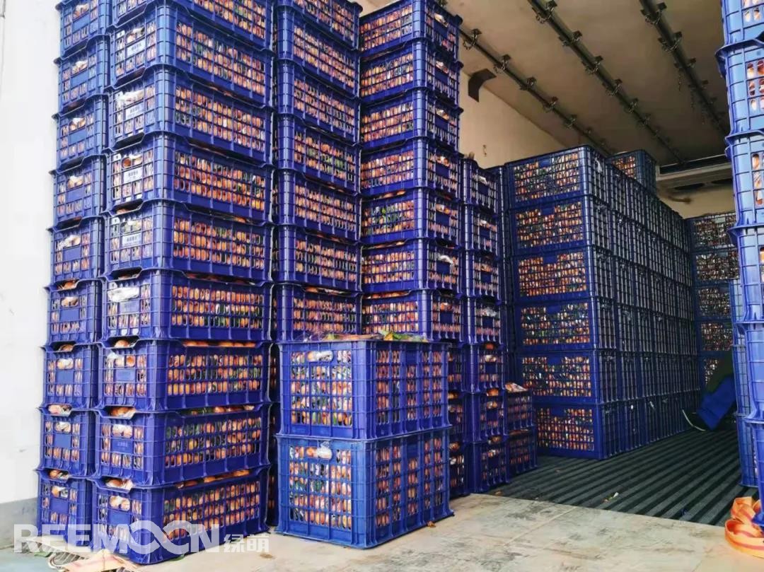 1639708633459733.jpg 4.jpg