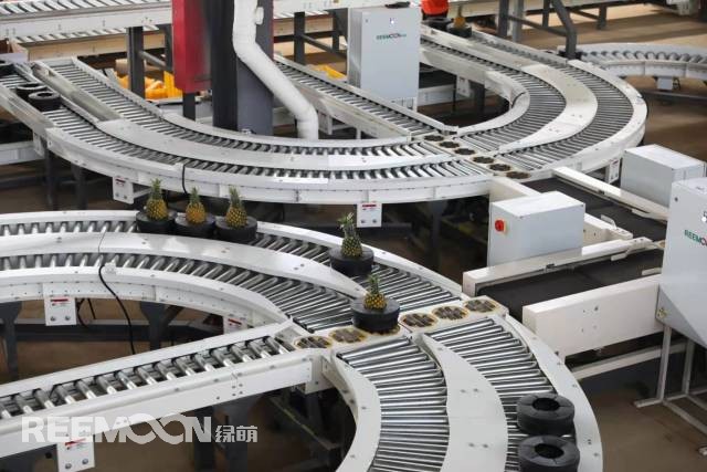 1646988939194433.jpg 4.jpg