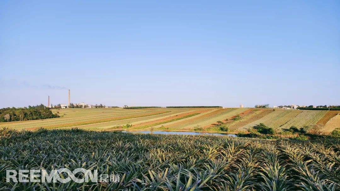 1647331216195477.jpg 12.jpg