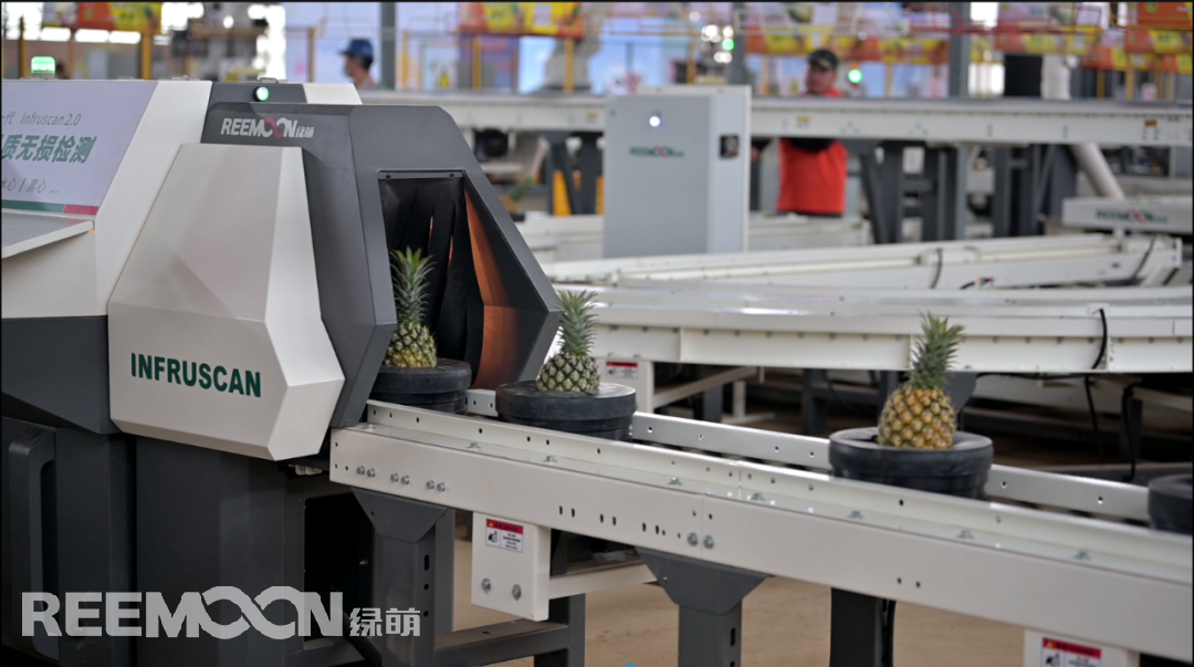 1647331259141806.png 13.png