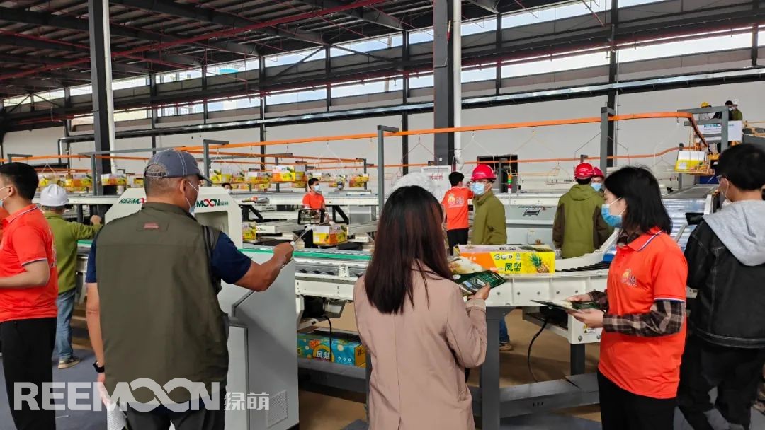 1647331306181494.jpg 14.jpg