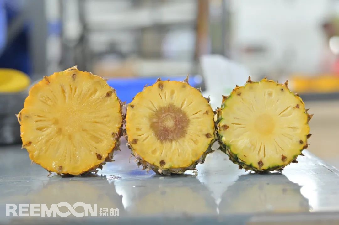 1647331359902246.jpg 15.jpg