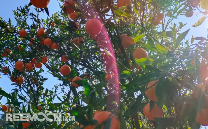 1652516194125012.png 6.png