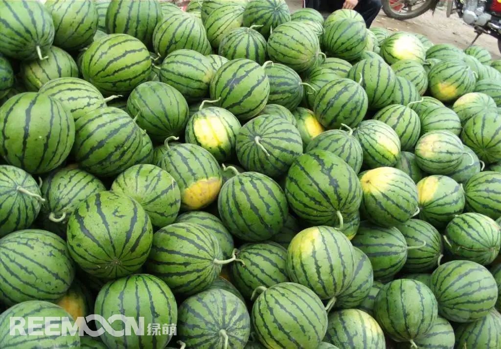 1652516232549290.jpg 7.jpg