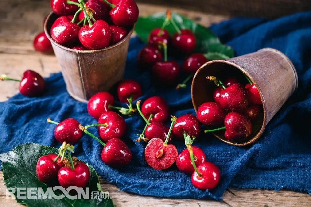 荔枝、芒果、櫻桃、西瓜、藍莓……春夏之交，市場上各種水果琳瑯滿目，受到消費者青睞。隨著生活水平提高，消費者對豐富多樣、品質(zhì)優(yōu)良的農(nóng)產(chǎn)品需求增加。目前水稻、小麥、大豆等“中國糧”已經(jīng)用上了中國種子，但還有一些農(nóng)作物的種源仍然依賴進口，其中就包括柑橘、蘋果、草莓等常見水果。如何破解我國優(yōu)質(zhì)水果的種源問題